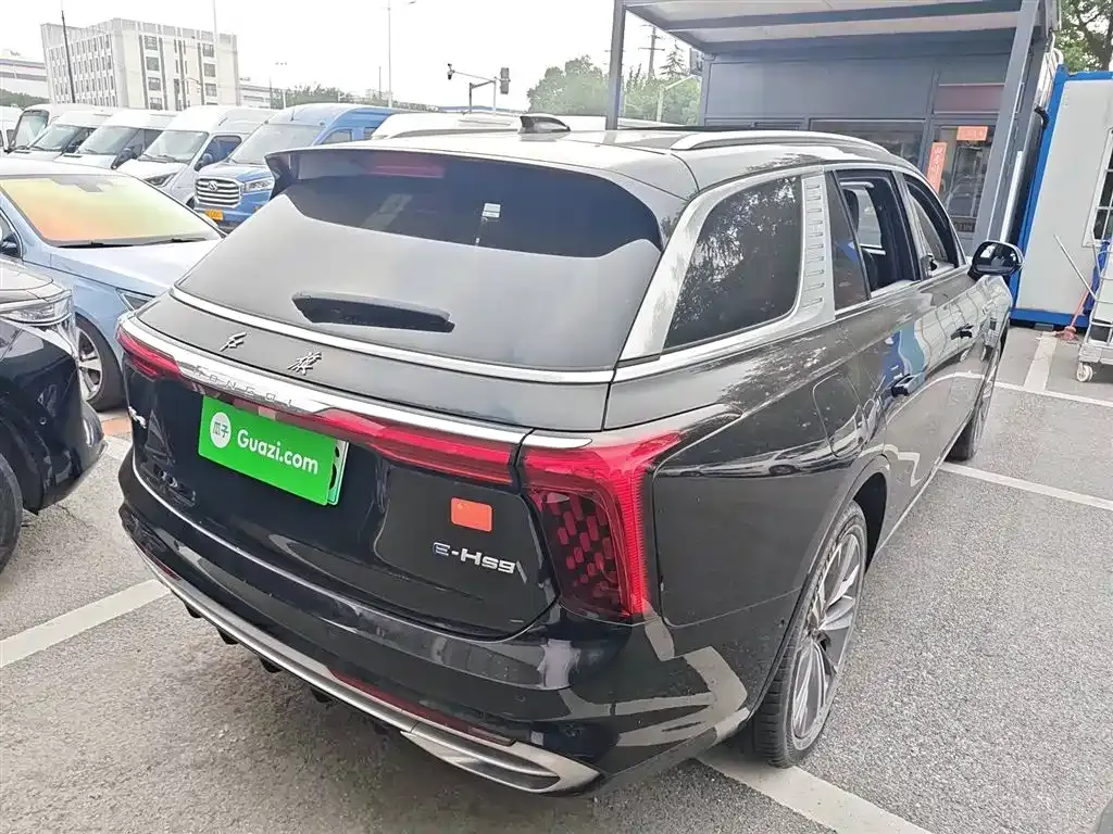 Hongqi E-HS9 2023 из CN, фото 7
