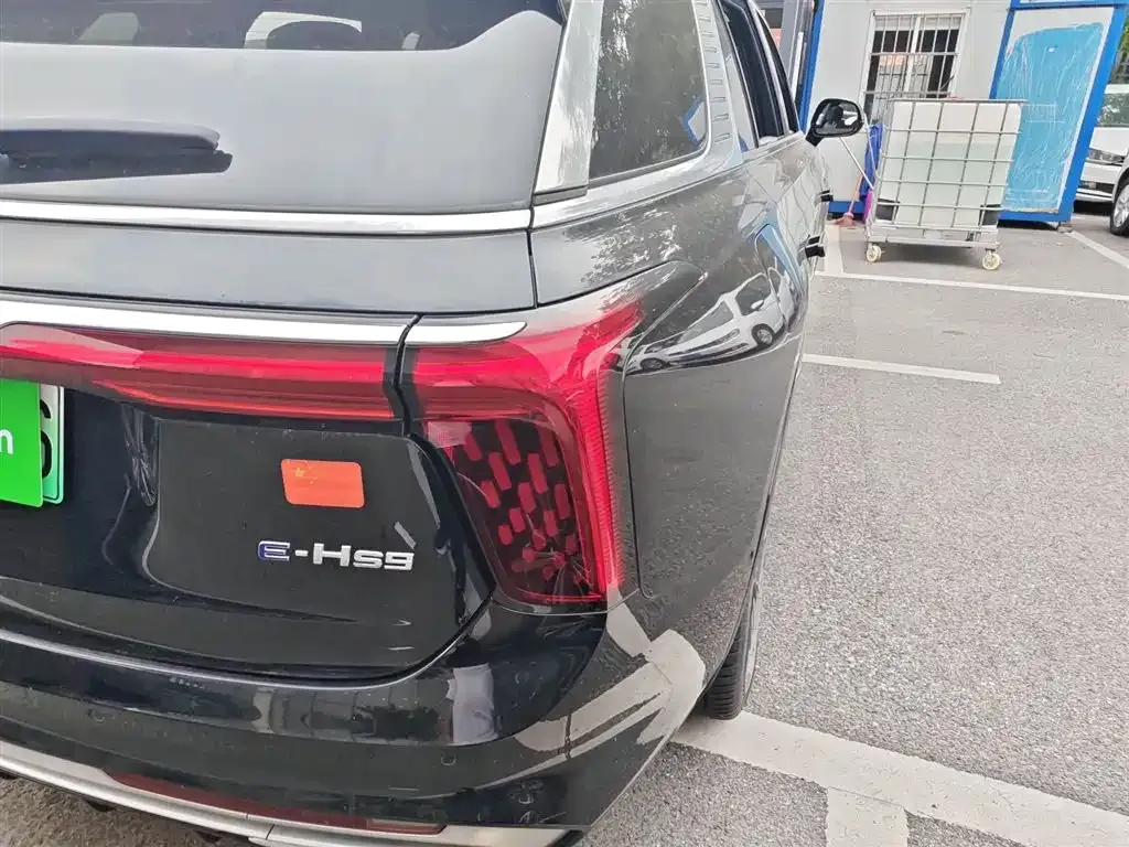 Hongqi E-HS9 2023 из CN, фото 8