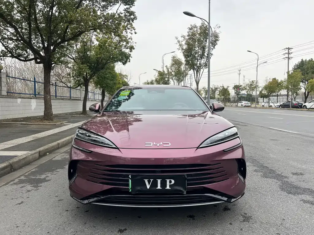 BYD Seal 2023 из CN, фото 2