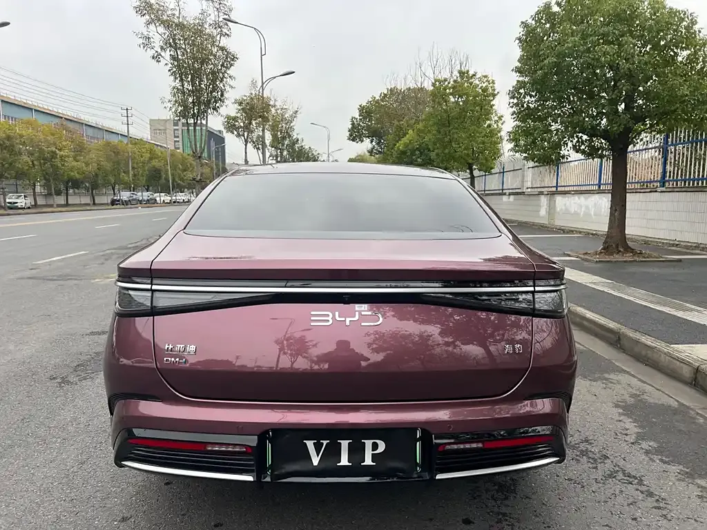 BYD Seal 2023 из CN, фото 6