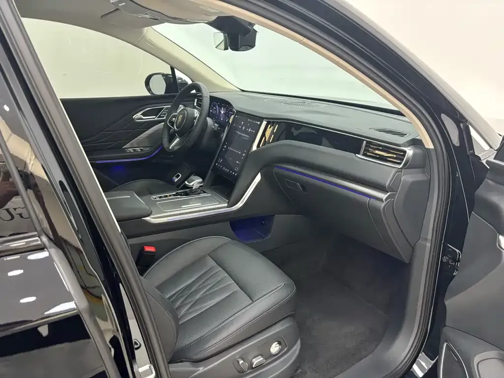 Hongqi HS7 PHEV 2024 из CN, фото 10