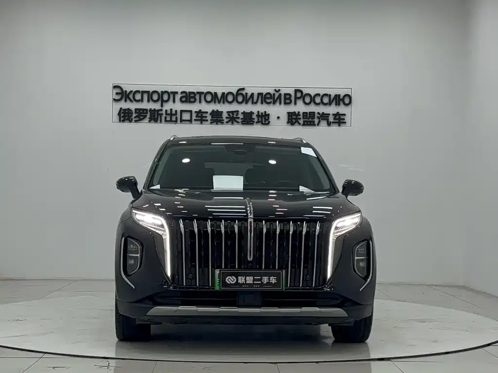 Hongqi HS7 PHEV 2024 из CN, фото 2