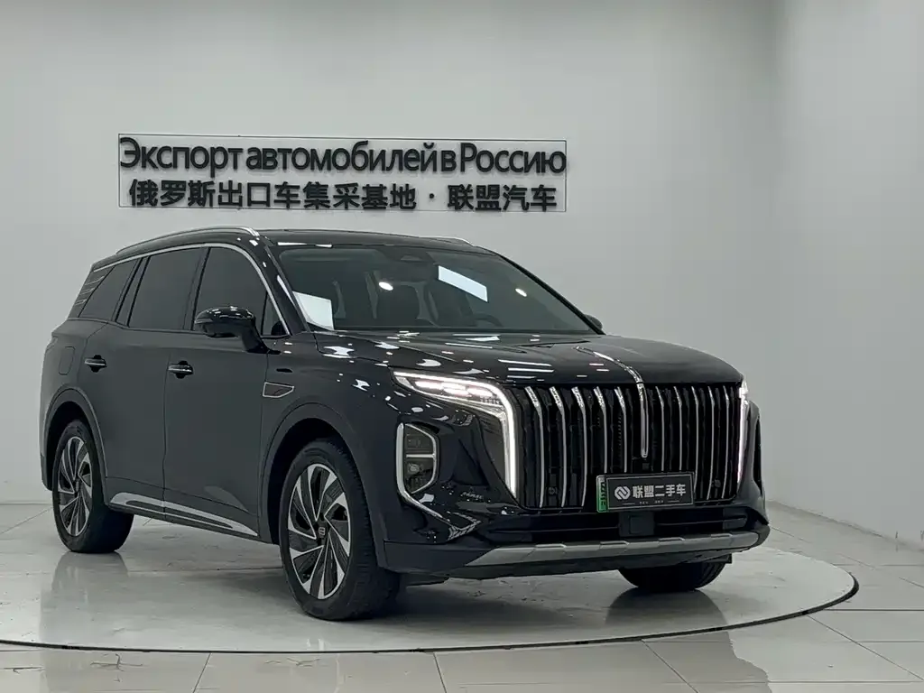 Hongqi HS7 PHEV 2024 из CN, фото 3