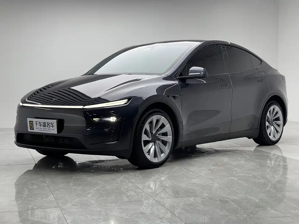 Tesla Model Y 2025 из CN, фото 1