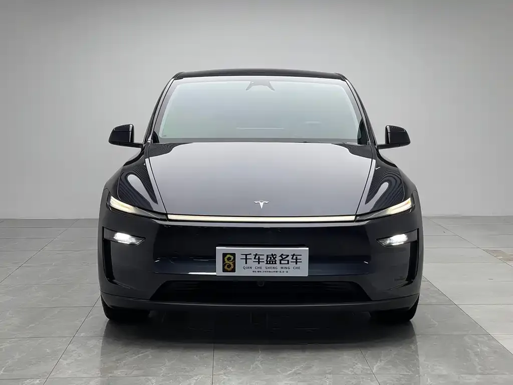 Tesla Model Y 2025 из CN, фото 2