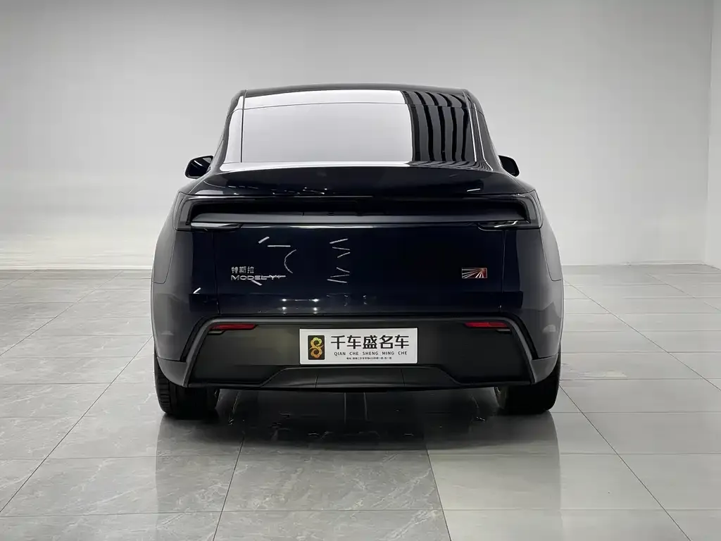 Tesla Model Y 2025 из CN, фото 6