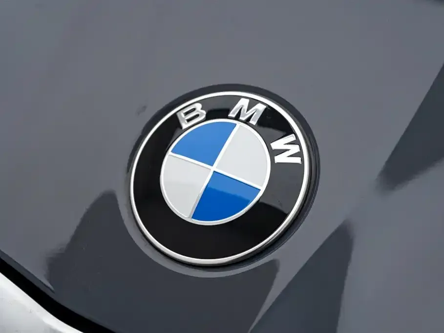 BMW 5 Series 2024 из CN, фото 9