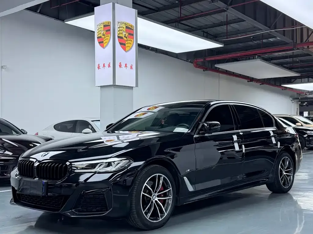 BMW 5 Series 2022 из CN, фото 1