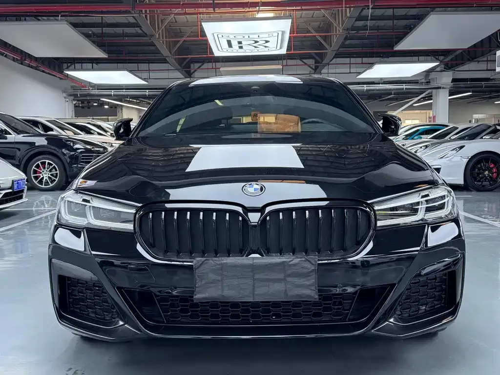BMW 5 Series 2022 из CN, фото 2