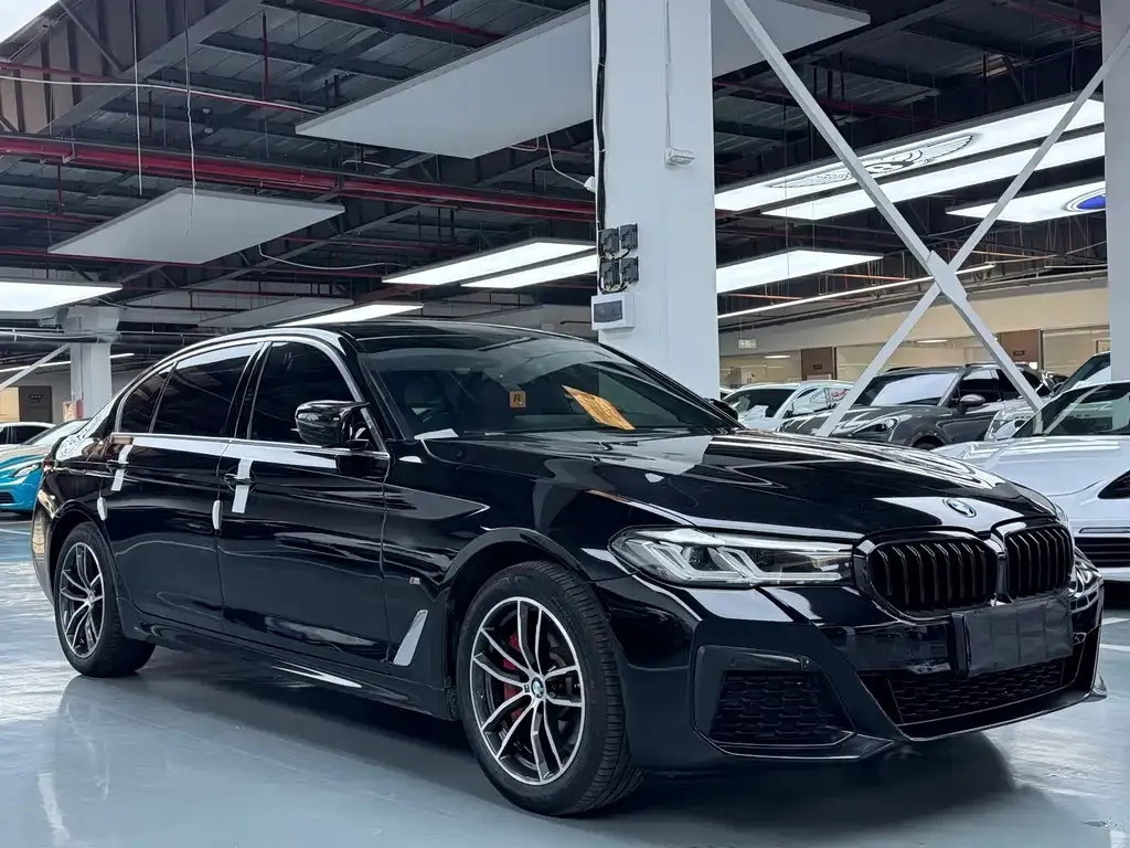BMW 5 Series 2022 из CN, фото 3
