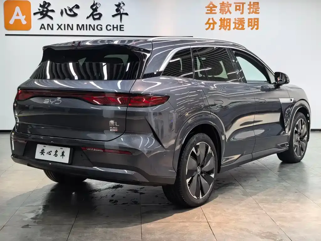 BYD Tang L — фото 3