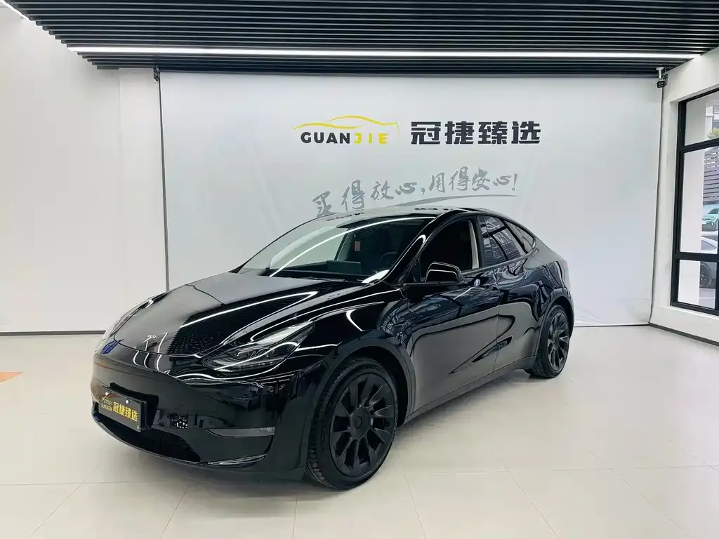 Tesla Model Y — фото 1