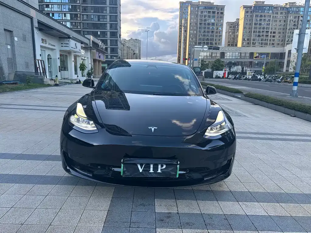 Tesla Model 3 2021 из CN, фото 1