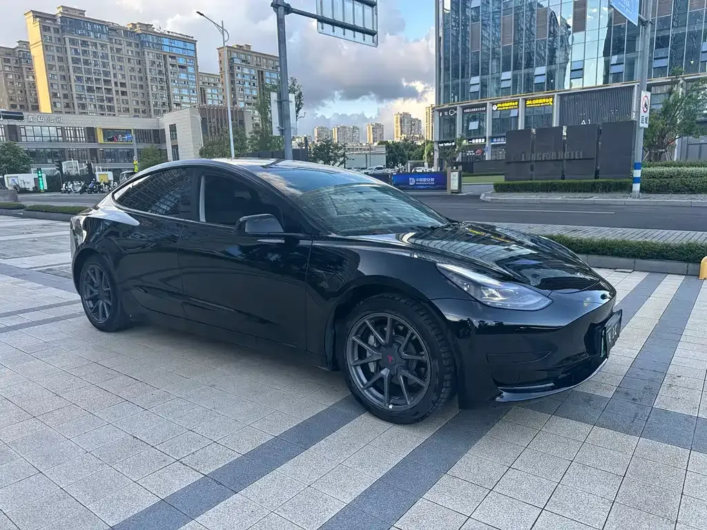 Tesla Model 3 2021 из CN, фото 2