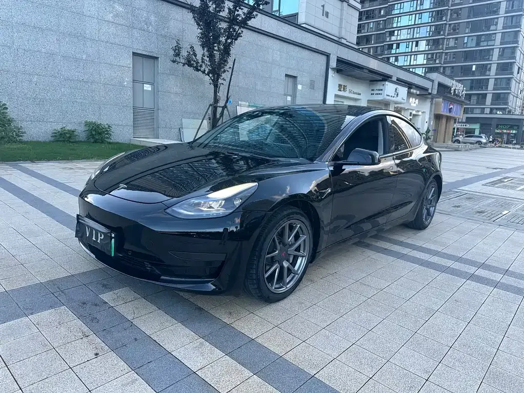 Tesla Model 3 2021 из CN, фото 3