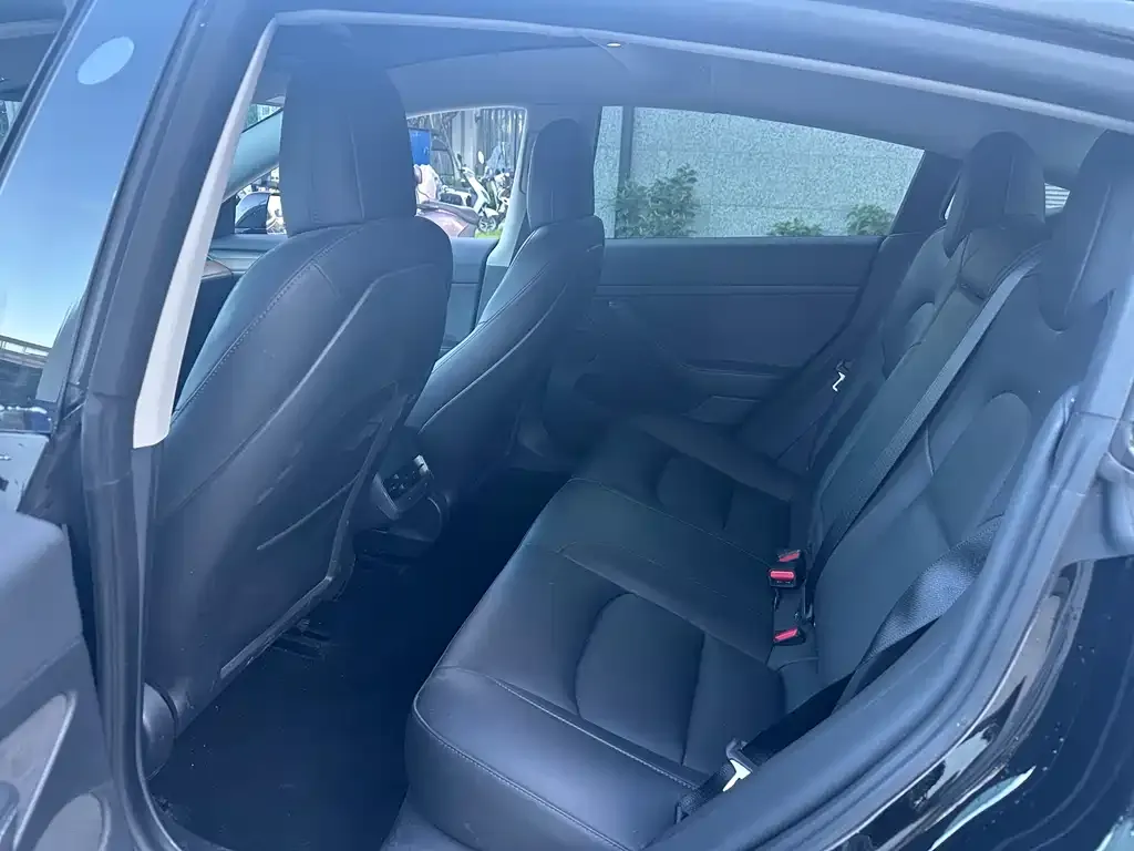 Tesla Model 3 2021 из CN, фото 4