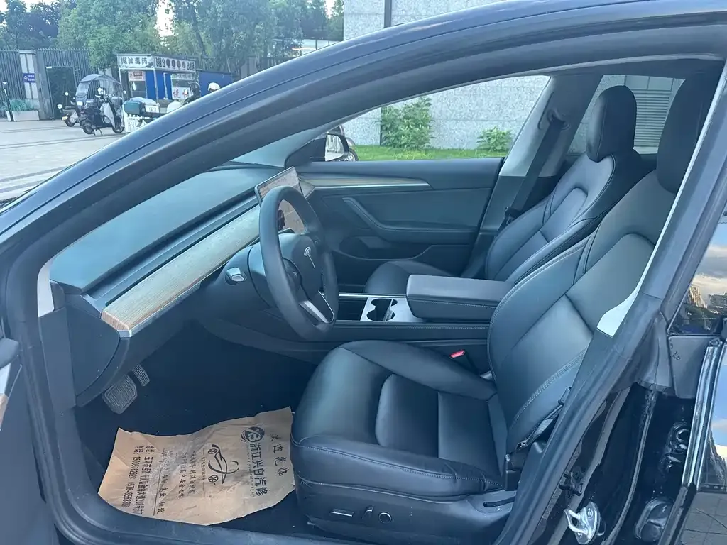 Tesla Model 3 2021 из CN, фото 5