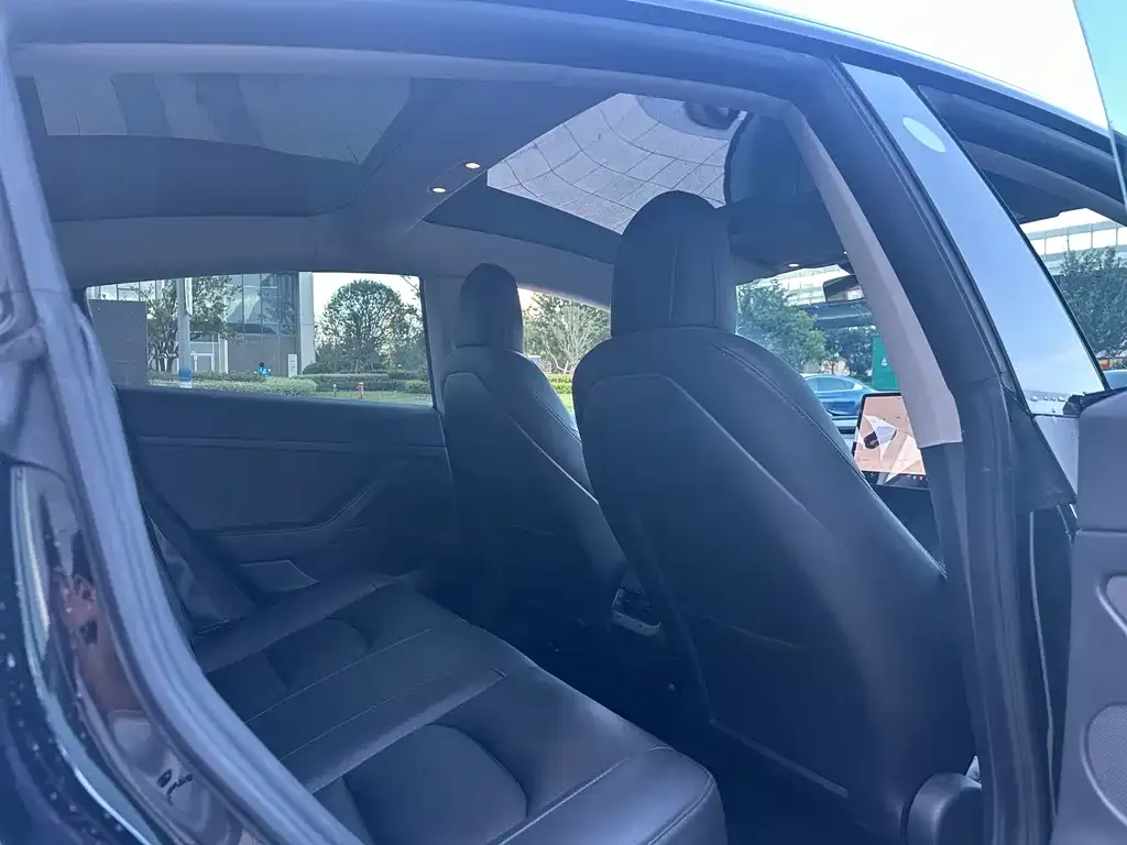 Tesla Model 3 2021 из CN, фото 6