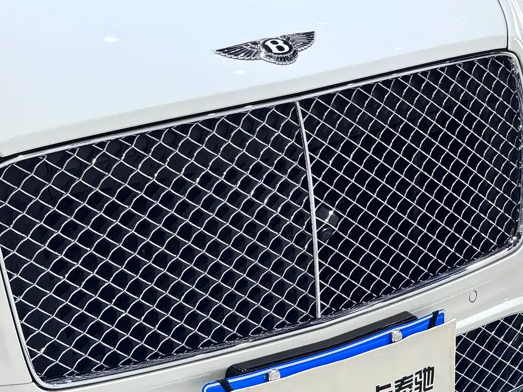 Bentley Bentayga 2024 из CN, фото 10
