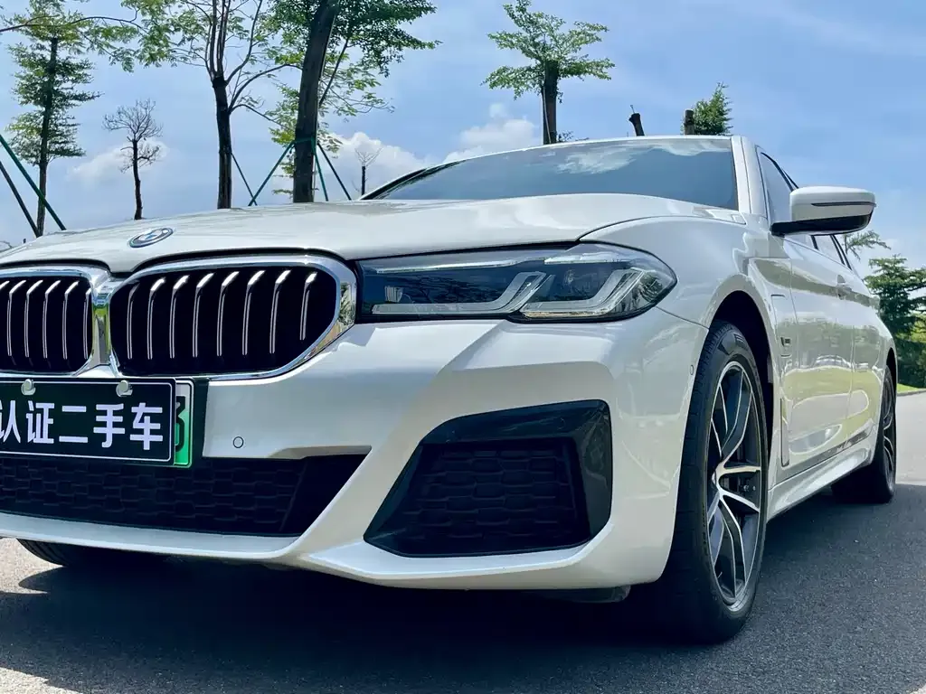 BMW 5 Series New Energy — фото 10