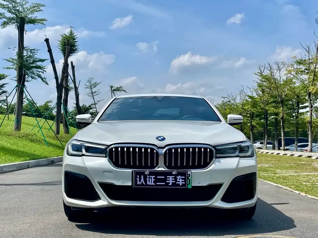 BMW 5 Series New Energy — фото 2
