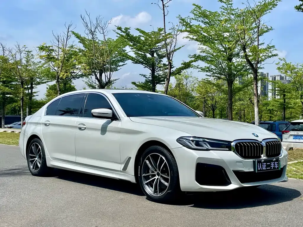 BMW 5 Series New Energy — фото 3
