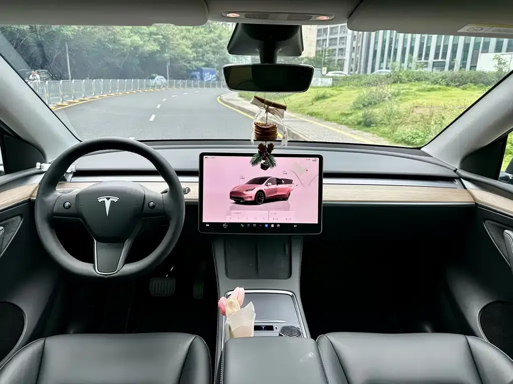 Tesla Model Y — фото 6