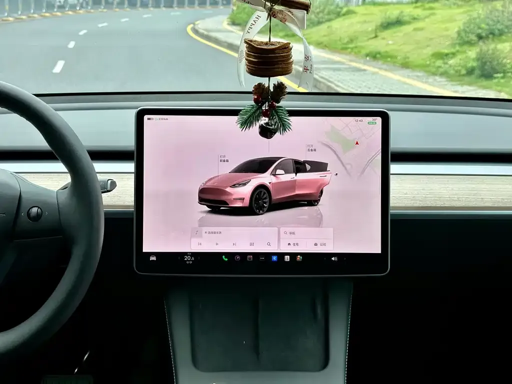 Tesla Model Y — фото 8