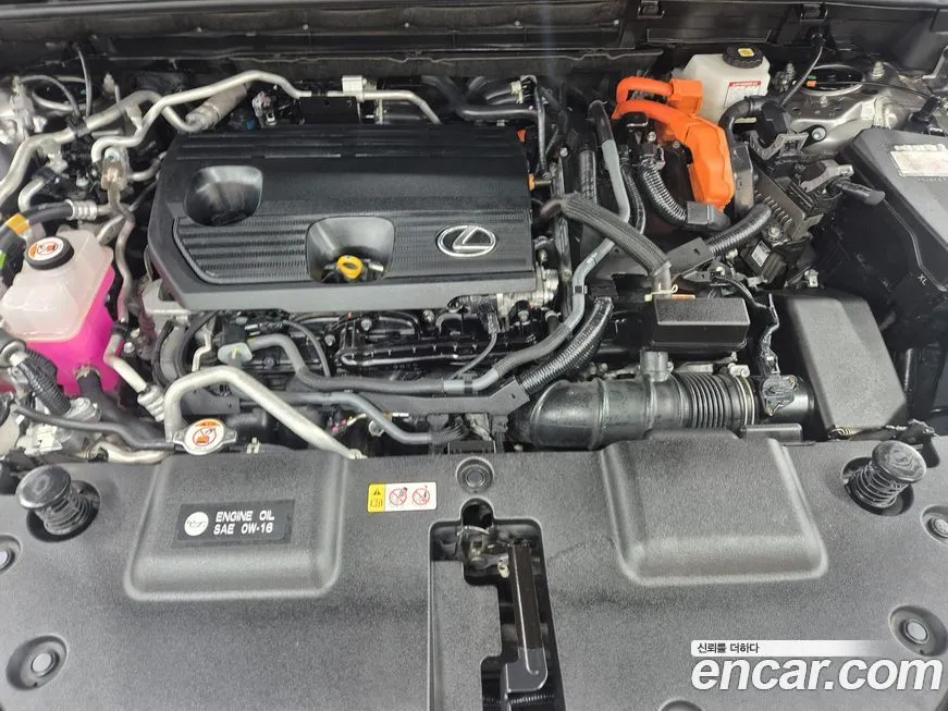 Lexus NX 2023 из KR, фото 6