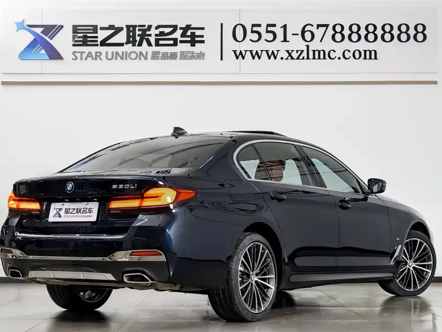BMW 5 Series 2022 из CN, фото 5