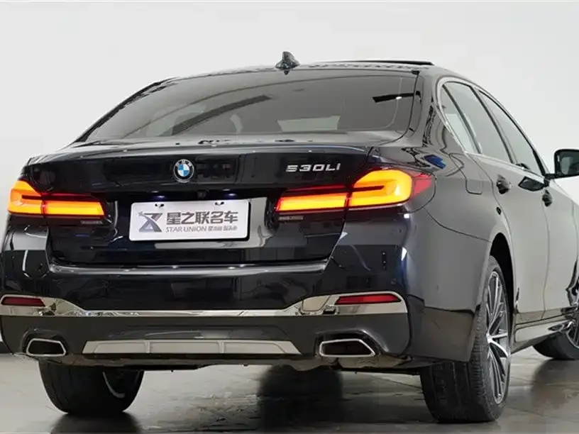BMW 5 Series 2022 из CN, фото 6