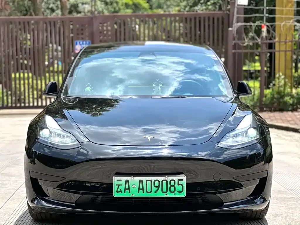 Tesla Model 3 2023 из CN, фото 2