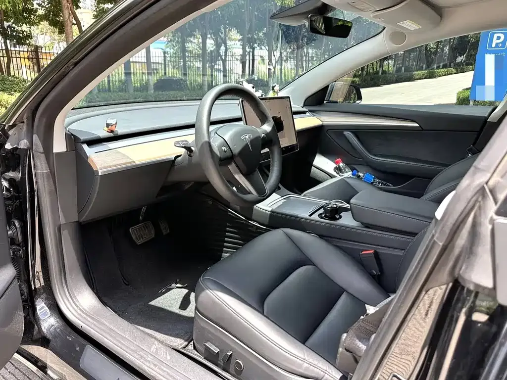 Tesla Model 3 2023 из CN, фото 4