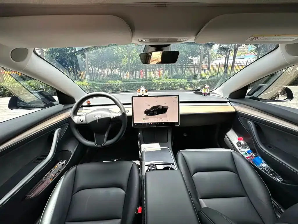 Tesla Model 3 2023 из CN, фото 6