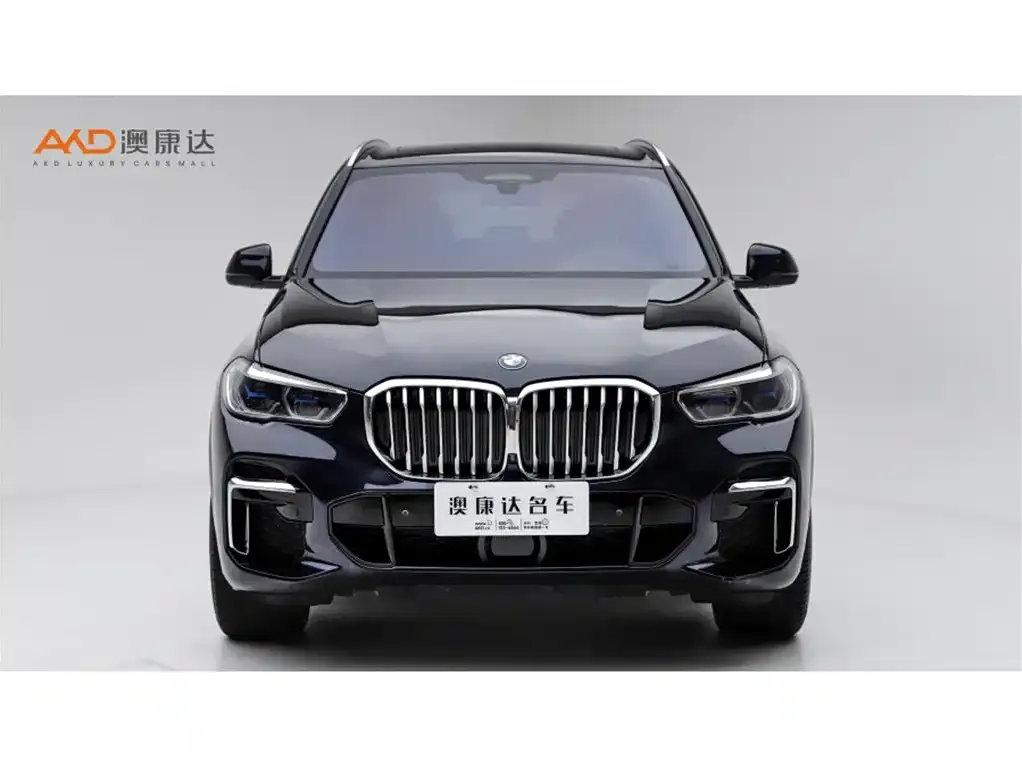 BMW X5 2023 из CN, фото 2