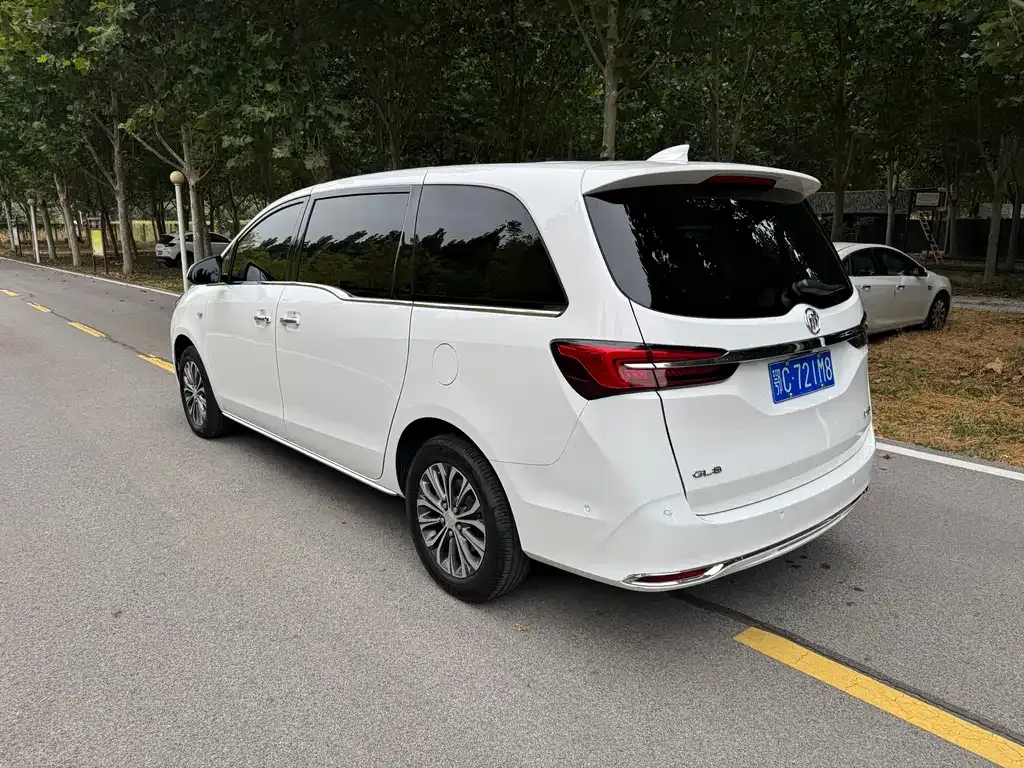 Buick GL8 2023 из CN, фото 6