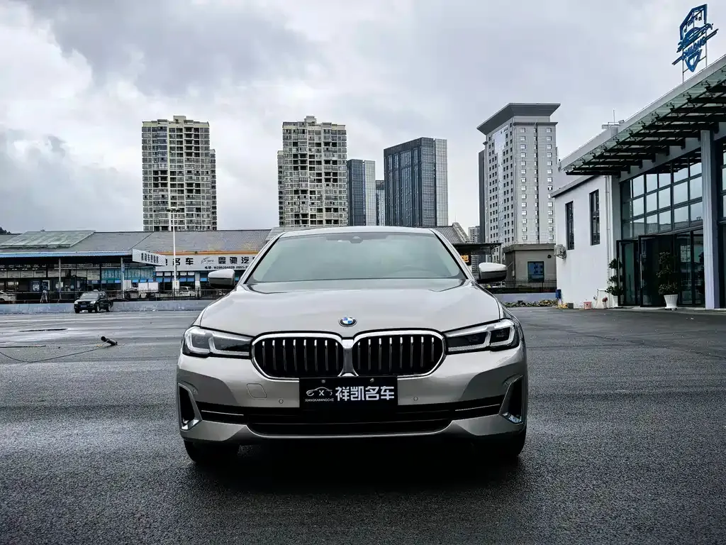 BMW 5 Series 2022 из CN, фото 2