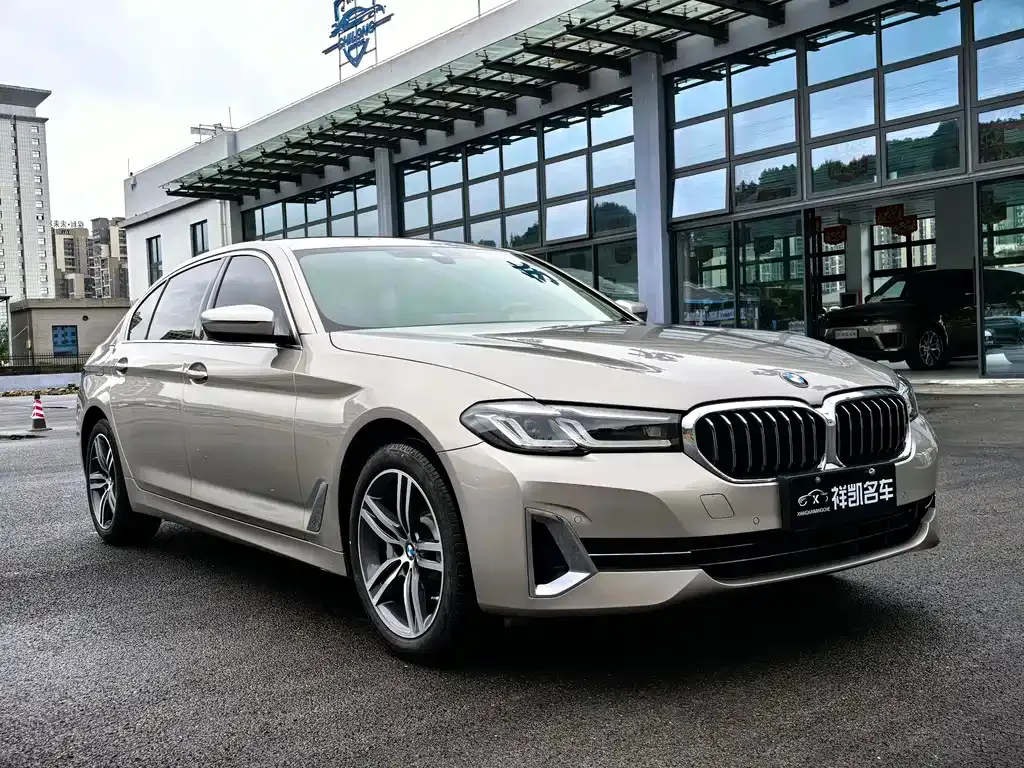 BMW 5 Series 2022 из CN, фото 3