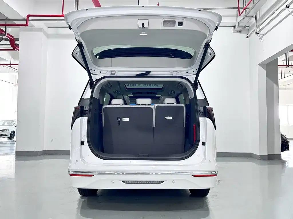 Buick GL8 2024 из CN, фото 8