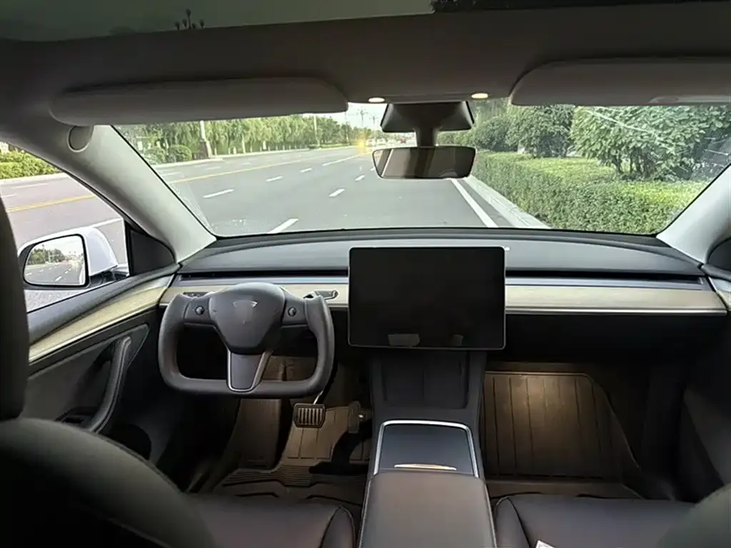 Tesla Model Y 2023 из CN, фото 4