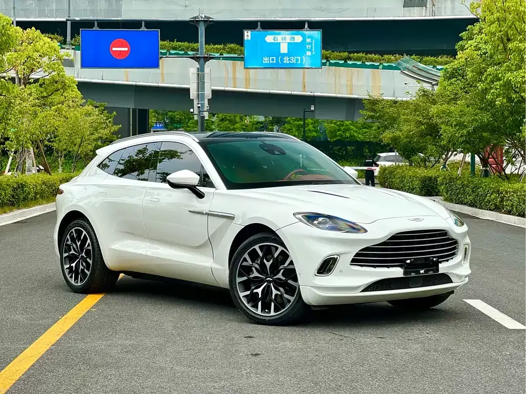 Aston Martin DBX 2022 из CN, фото 3