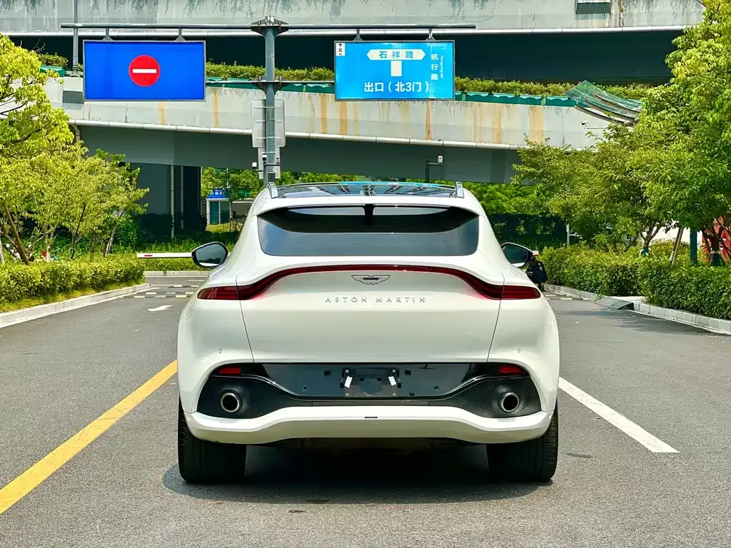 Aston Martin DBX 2022 из CN, фото 6