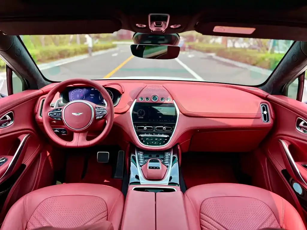 Aston Martin DBX 2022 из CN, фото 8