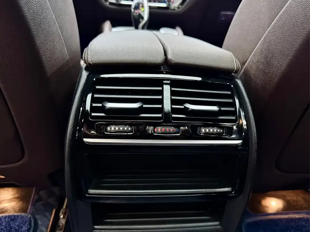 BMW 5 Series 2021 из CN, фото 4
