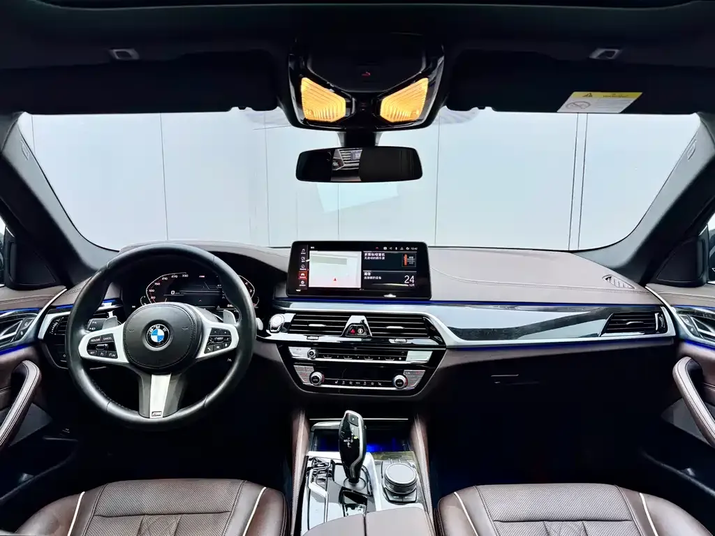 BMW 5 Series 2021 из CN, фото 5