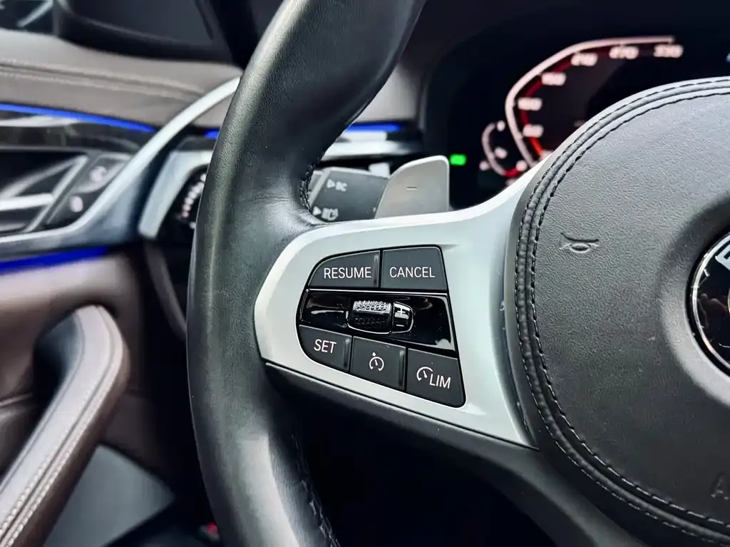 BMW 5 Series 2021 из CN, фото 6
