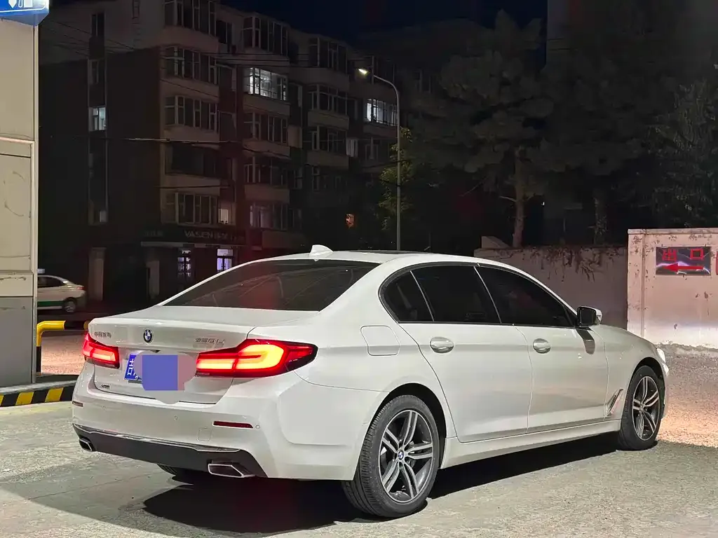 BMW 5 Series 2021 из CN, фото 2