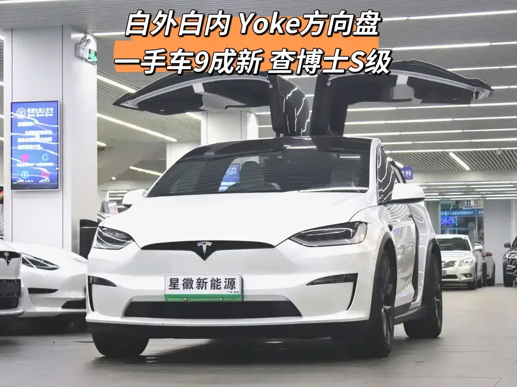 Tesla Model X 2023 из CN, фото 1