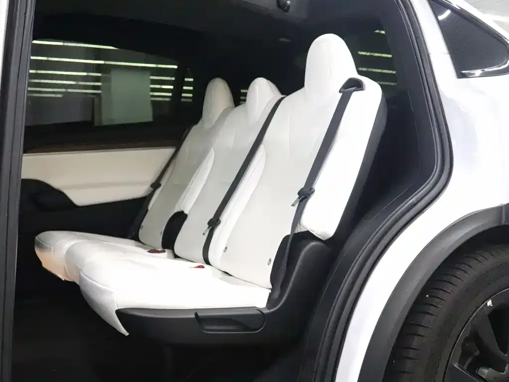 Tesla Model X 2023 из CN, фото 10