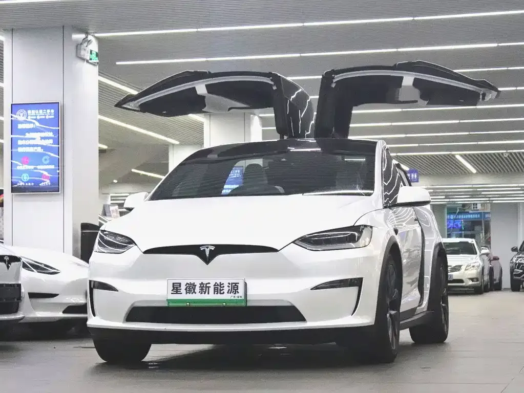 Tesla Model X 2023 из CN, фото 2